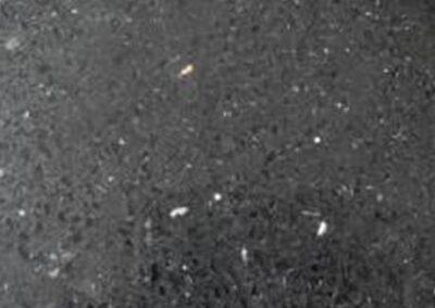 Negro Stellar
